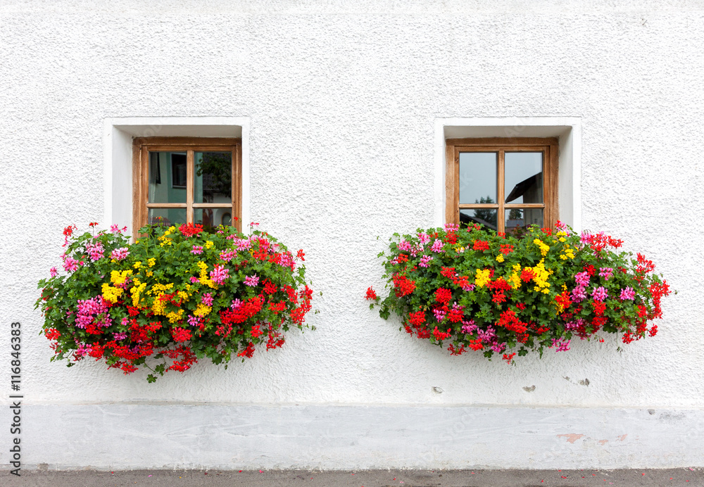 Two windows with flowers of traditional alpine house in Austria