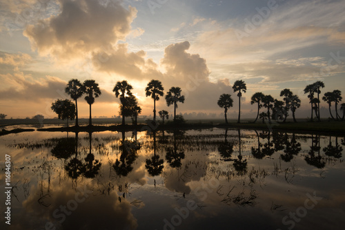 Colorful sunrise landscape with silhouettes of palm trees photo