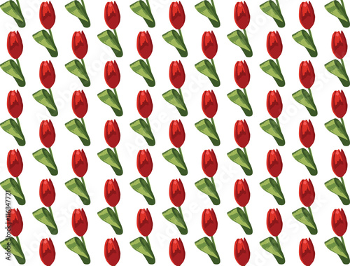 Tulip Flowers  pattern background  Vector