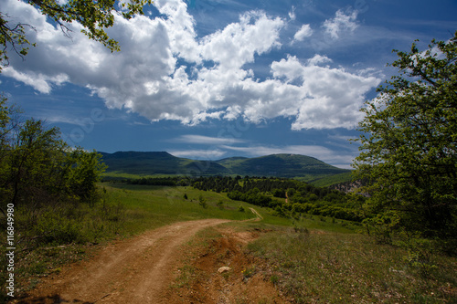 Summer field with road and clouds in blue sky.