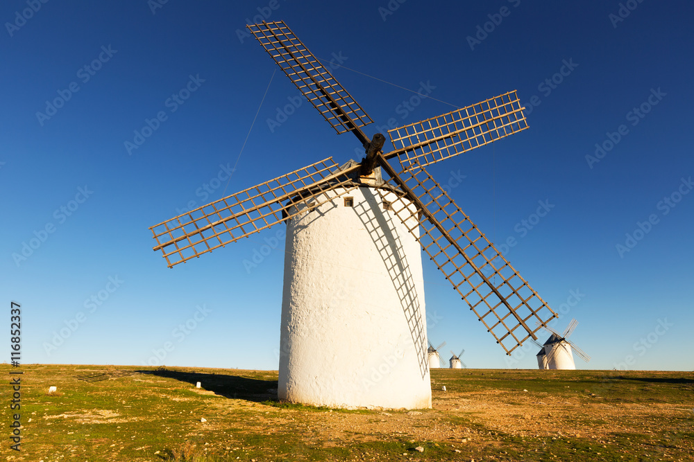 Group of windmills in sunny day time
