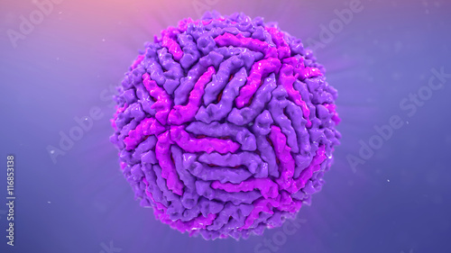 Bilde på lerret Zika Virus structure