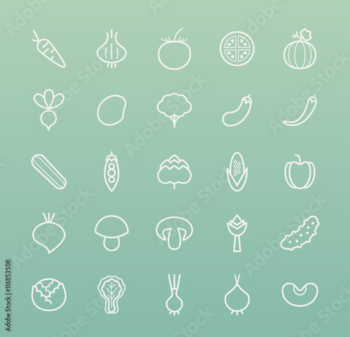 Set of Quality Isolated Universal Standard Minimal Simple Vegetables White Thin Line Icons on Color Background. © treter
