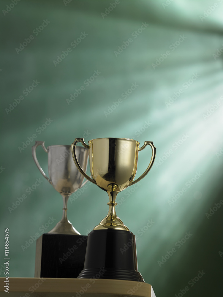 trophy trophy