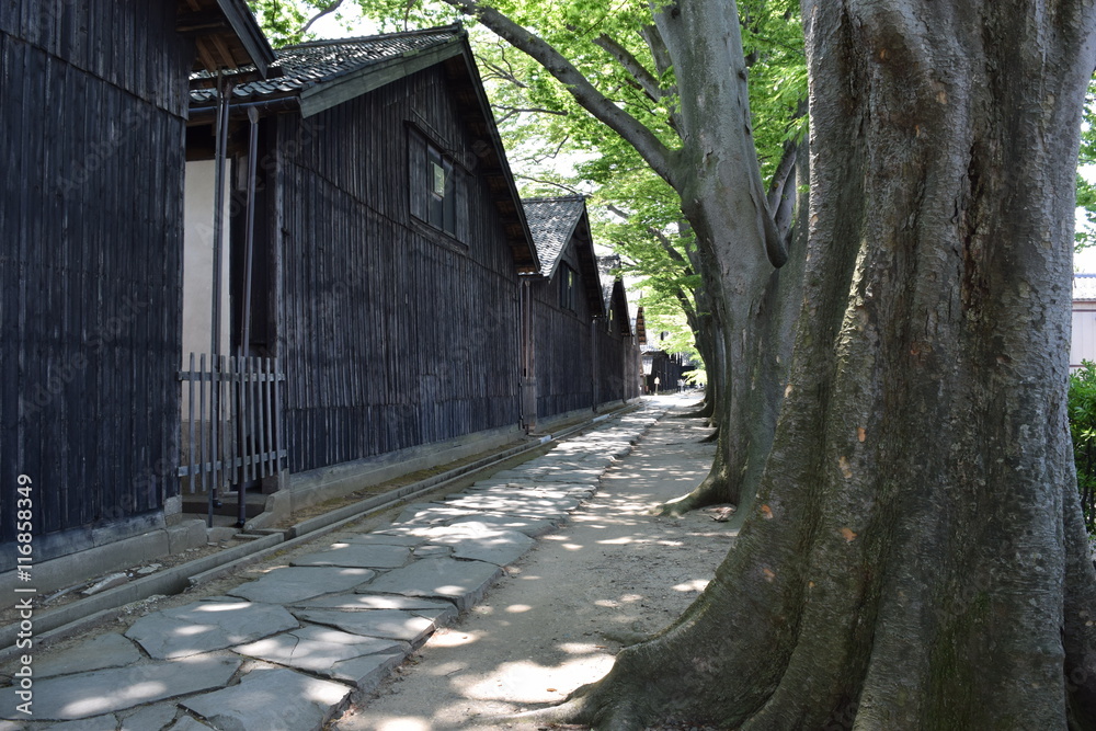 山居倉庫 ／ 東北地方の米どころ、山形県庄内のシンボル「山居倉庫」の風景です。山居倉庫は明治26年(1893)に建てられ、現在も現役の米保管倉庫です。白壁、土蔵づくり９棟からなる倉庫の米の収容能力は10,800トン(18万俵)です。夏の高温防止のために背後にケヤキ並木を配し、内部の湿気防止には二重屋根にするなど、自然を利用した先人の知恵が生かされた低温倉庫です。