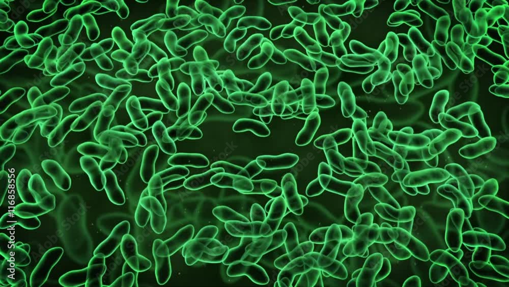 Virus  o bacteria zoom