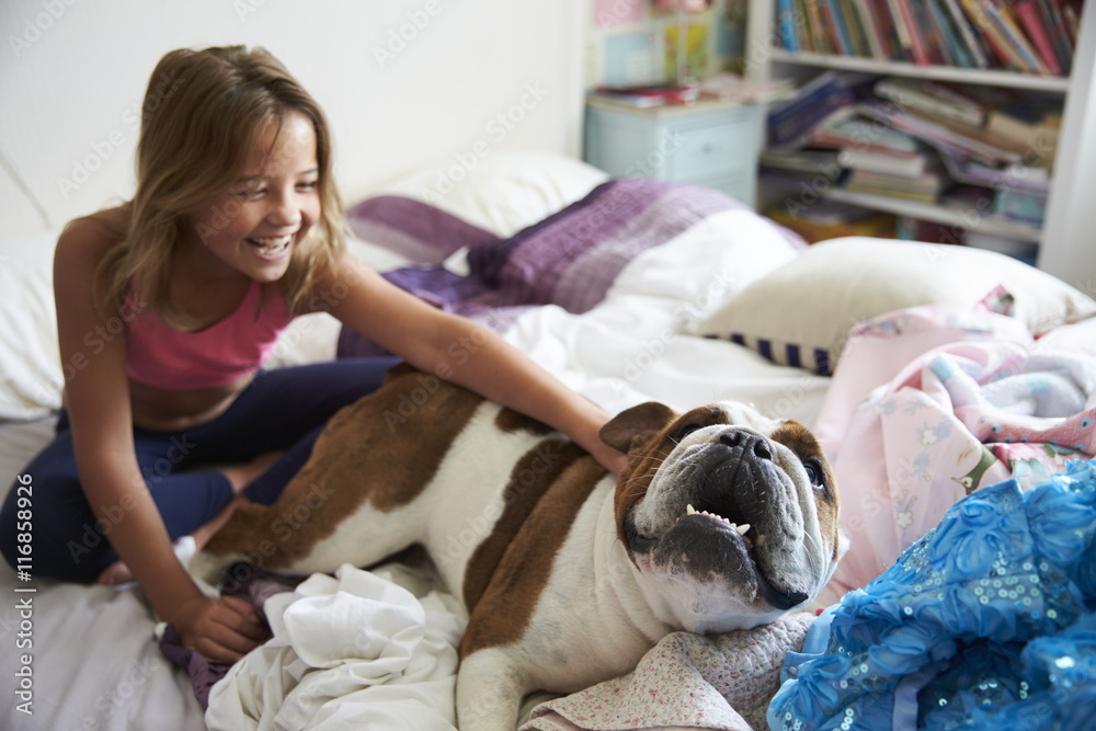 Young Girl Playing With Pet Bulldog In Bedroom