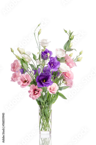 bunch of violet  white and pink eustoma flowers in glass vase is