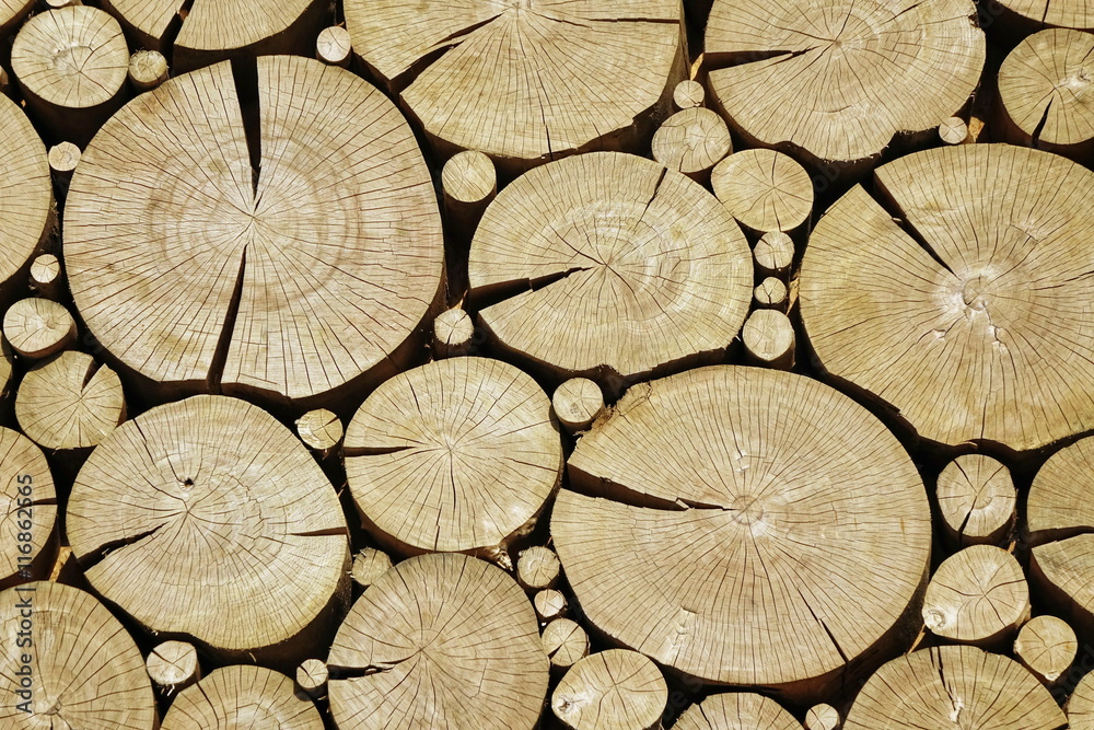 Fototapeta premium .Wooden Log Cabin Wall With Cross Section Rounded Elemen