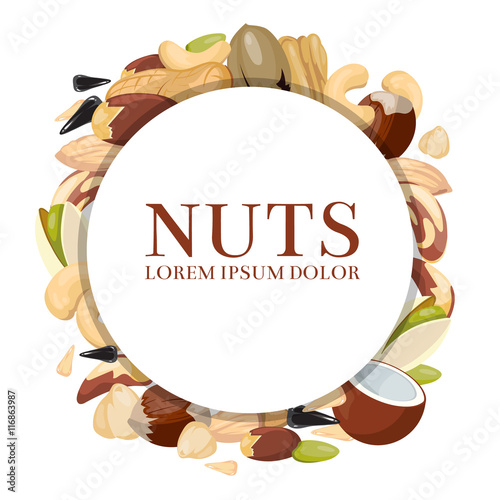 Healthy food vector concept with different nuts