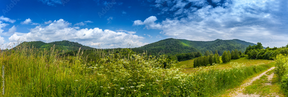 Obraz premium Landscape in Bieszczady Mountains