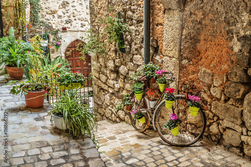 Narrow cobbled street with flowers in the old village Tourrettes photo