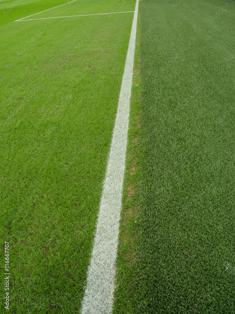 lines at sport stadium