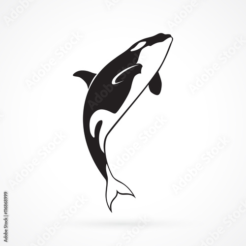 orca jumping  sign on white background