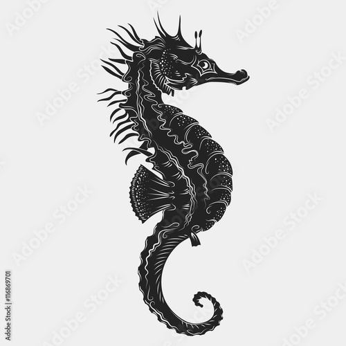 Hand drawn graphic seahorse. Vector illustration. Tattoo sketch. Sea collection. Isolated on a white background