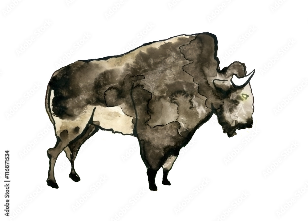 Obraz Buffalo watercolor illustration.
