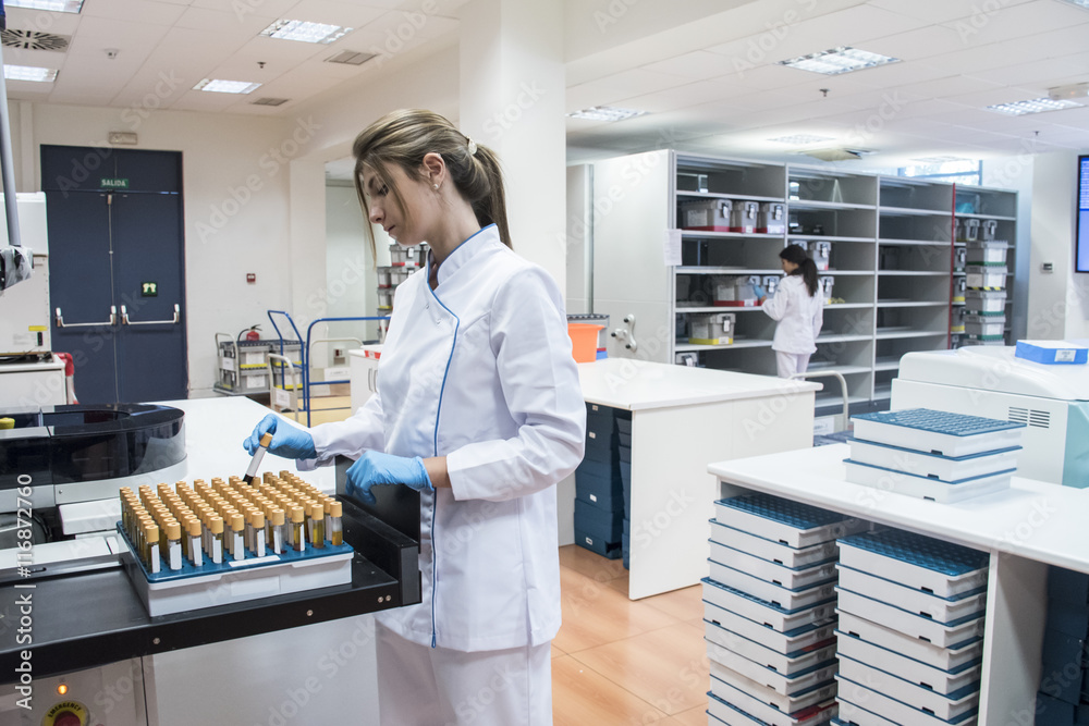 Laboratory technician in analytical laboratory with test tube tray