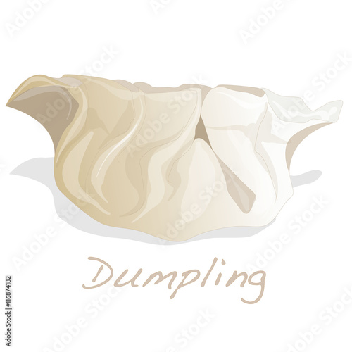 Dumpling vector illustration.
