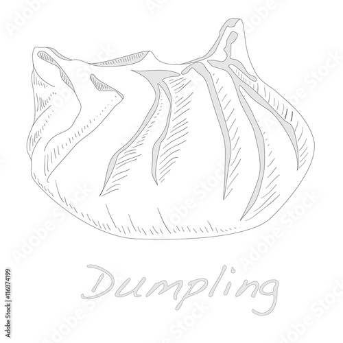 Dumpling vector illustration.
