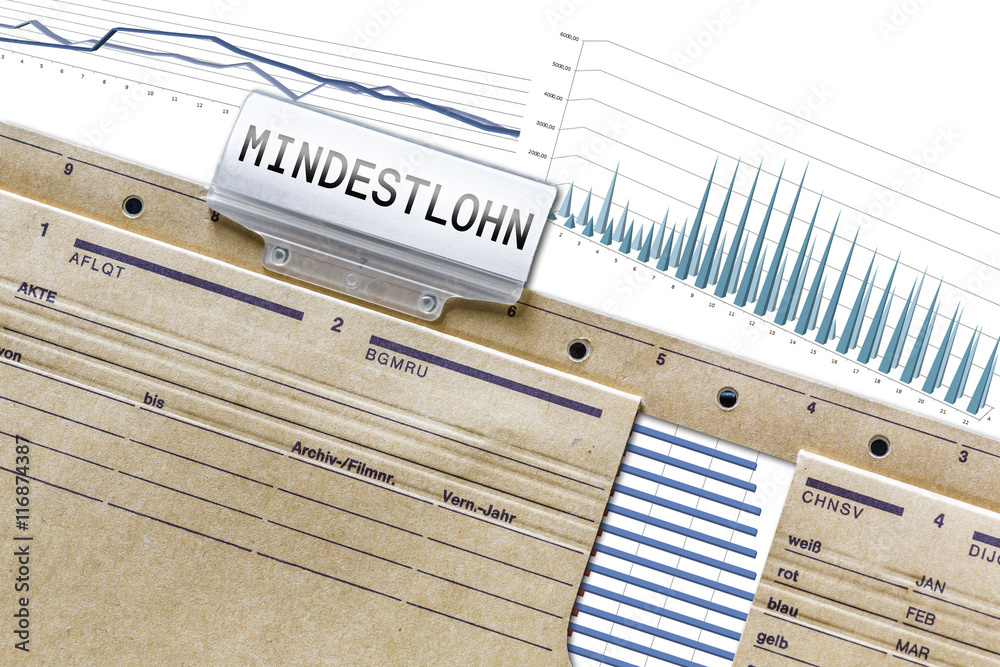 Fototapeta premium Mindestlohn, Entwicklung