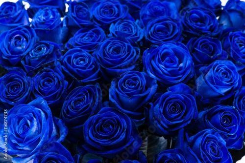 Fototapeta Naklejka Na Ścianę i Meble -  background close-up bouquet of blue roses