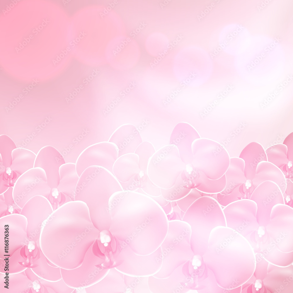 Pink flower orchid background