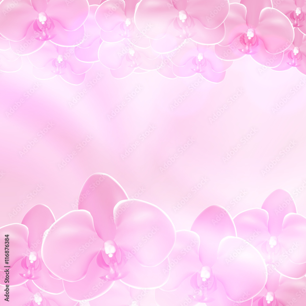 Pink flower orchid background