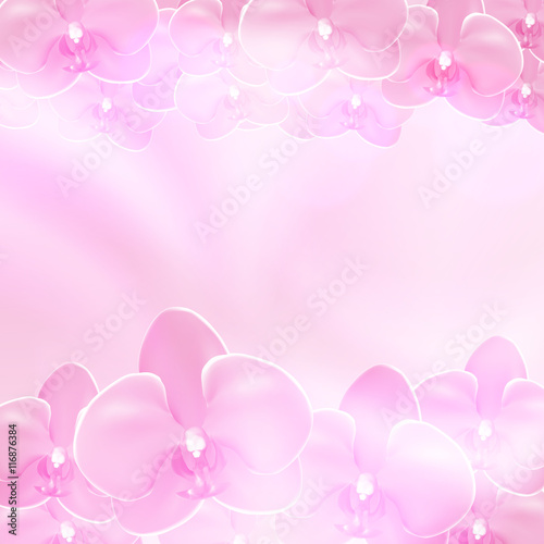 Pink flower orchid background