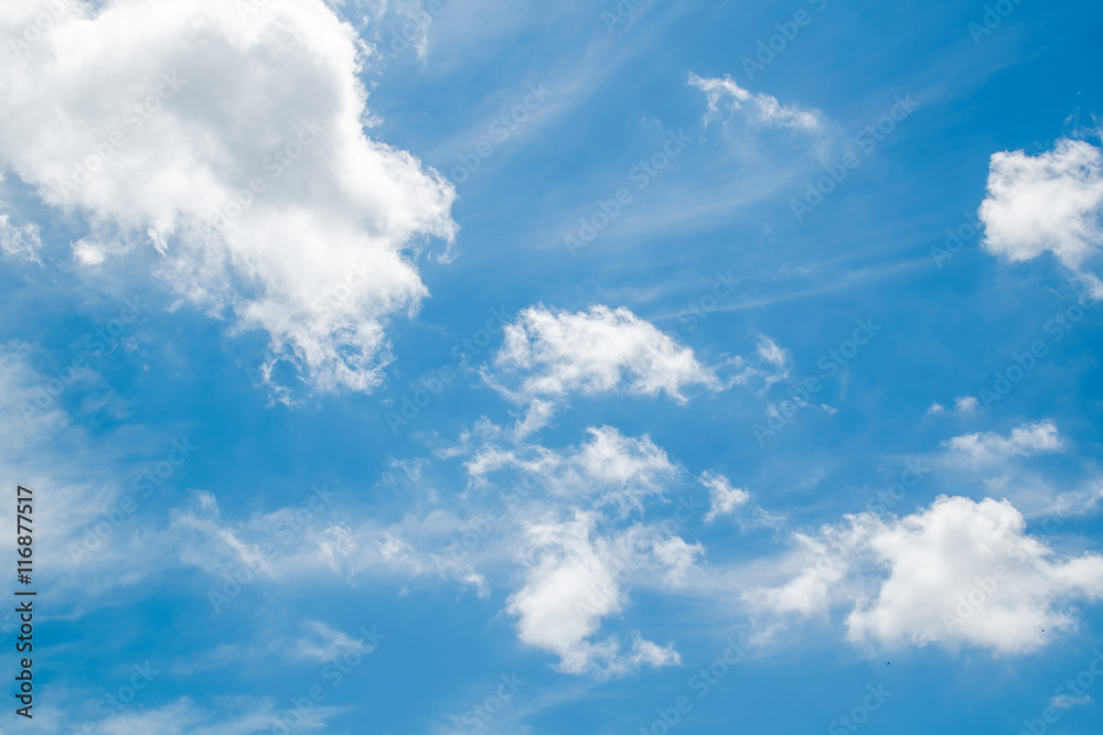 Fototapeta premium Beautiful blue sky with white cloud