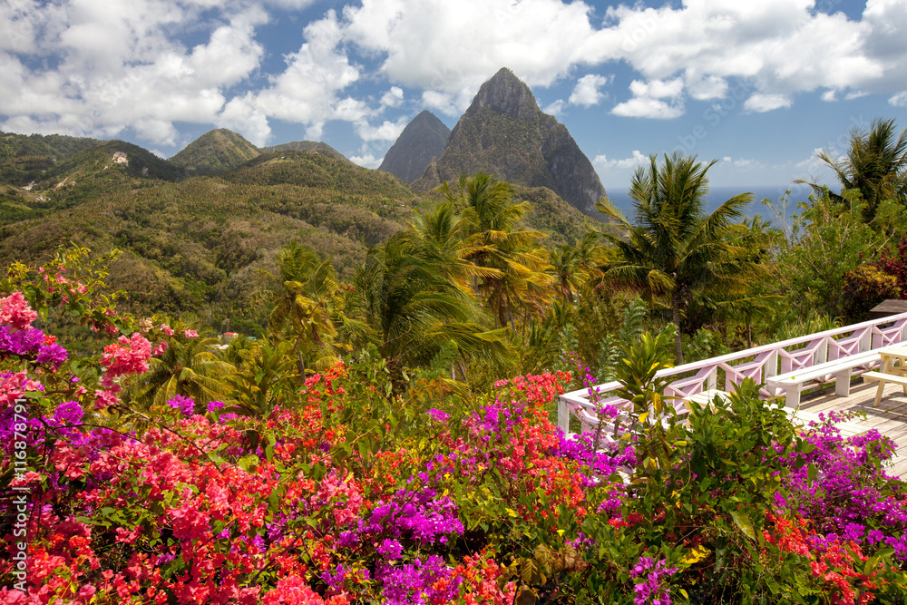 Tropical flowers, Piton mountains on Caribbean island of St Lucia