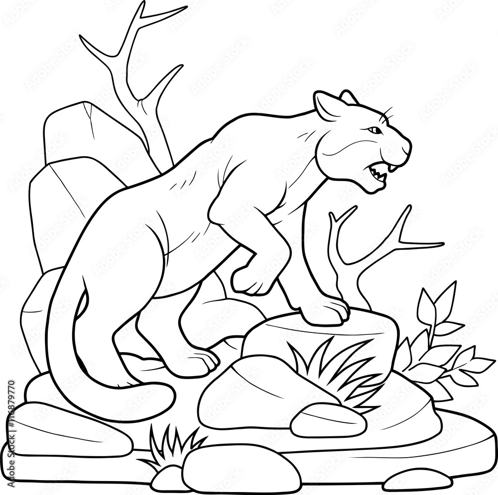 puma
puma