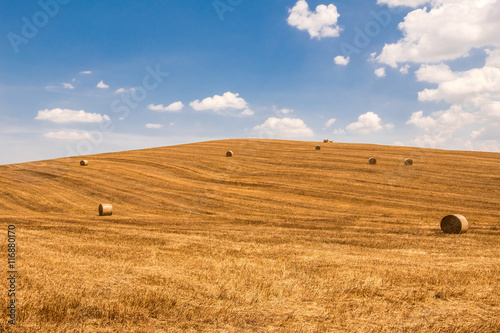 Hill of Tuscany in summer