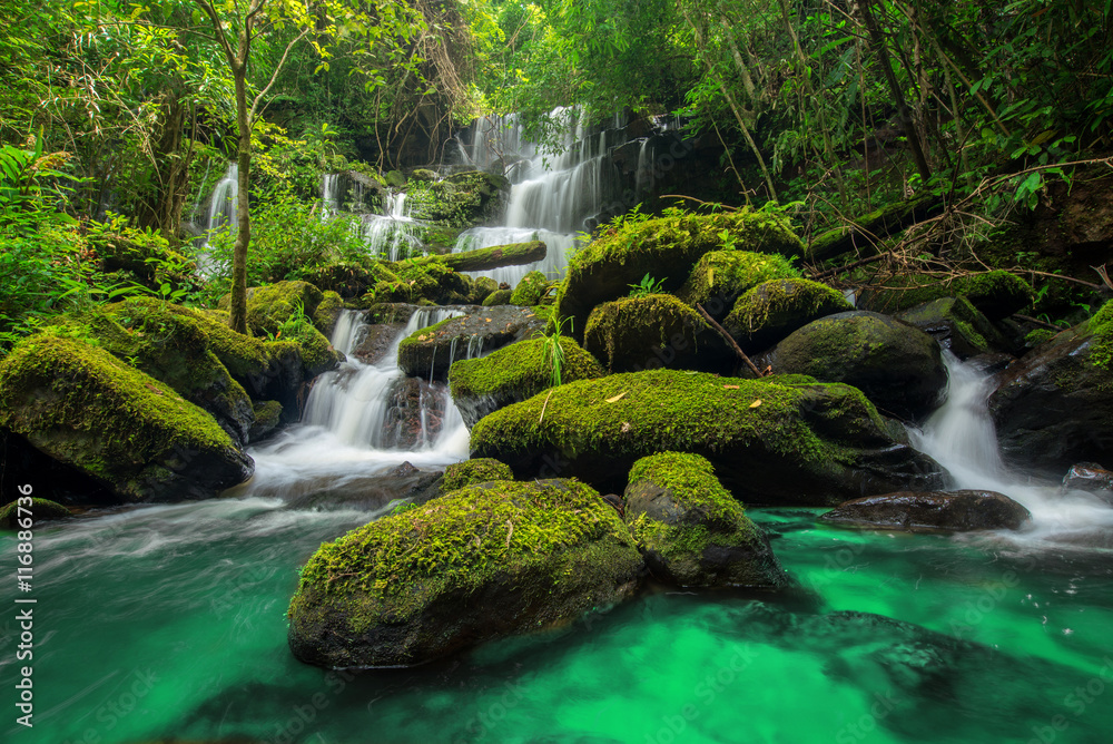 Fototapeta premium piękny wodospad w zielonym lesie w dżungli w wannie phu berk mo
