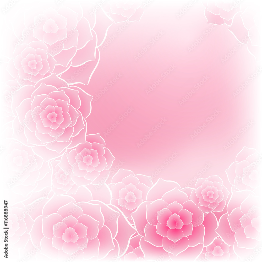 Beautiful pink rose flower background Beautiful pink rose flower background