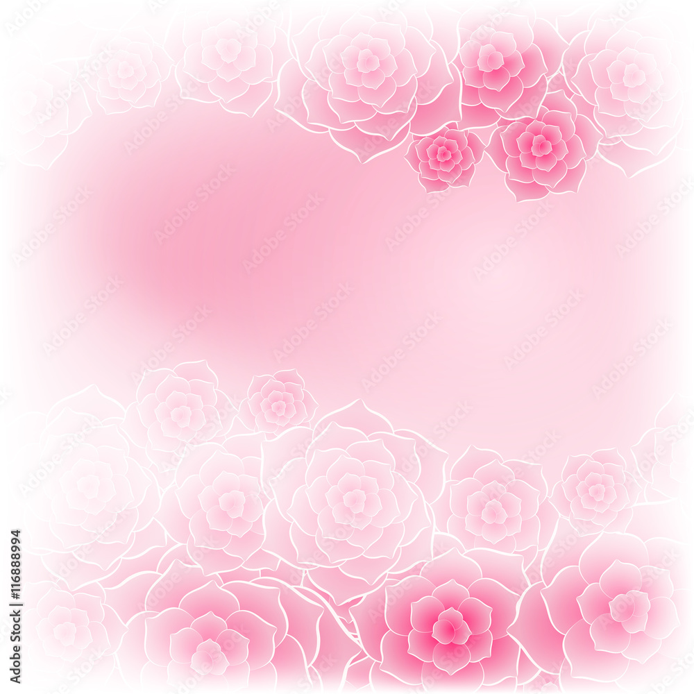 Beautiful pink rose flower background