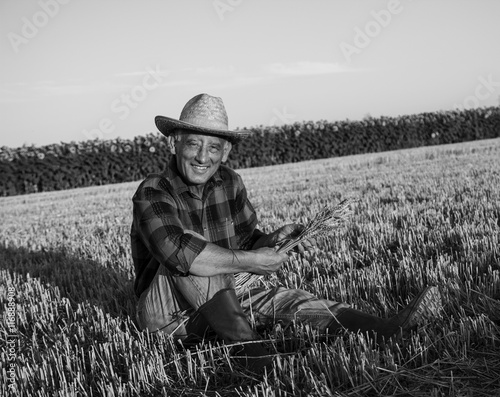 Senior farmer sitting in a wheat field after harvest and examining crop, black and white.