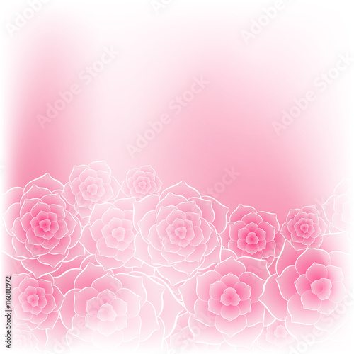 Beautiful pink rose flower background