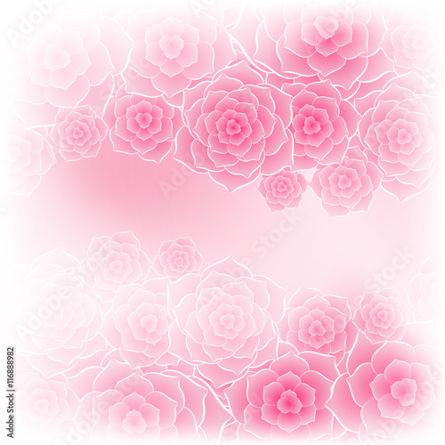 Beautiful pink rose flower background © hamara