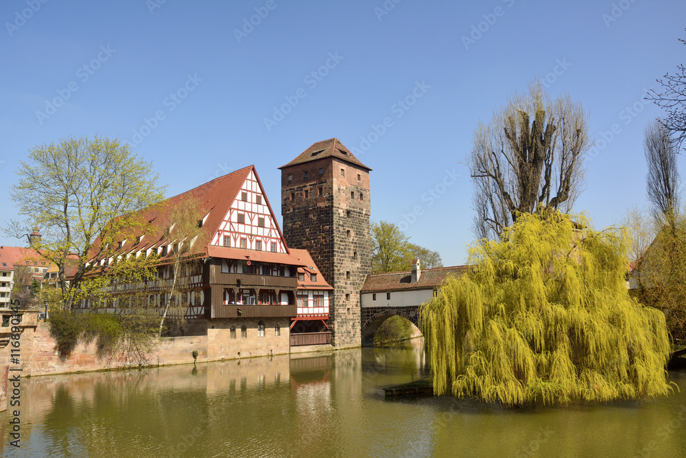 View of historic buildings on the bank of Pegnitz river and willow tree in Nuremberg old town district.