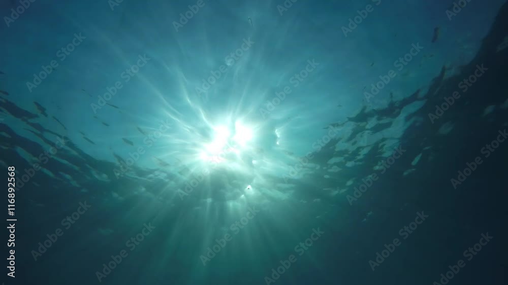 ascend to the sea surface in the sun, raw without effects ascend to the sea surface in the sun, raw without effects