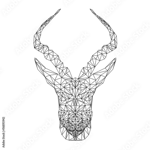 Springbok african animal. Vector antelope illustration for tattoo, coloring, wallpaper and printing on t-shirts. Gazelle silhouette in thin line style. Abstract mammal low poly design.