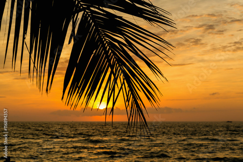 Fototapeta Naklejka Na Ścianę i Meble -  Golden sunset at the forefront of palm leaves