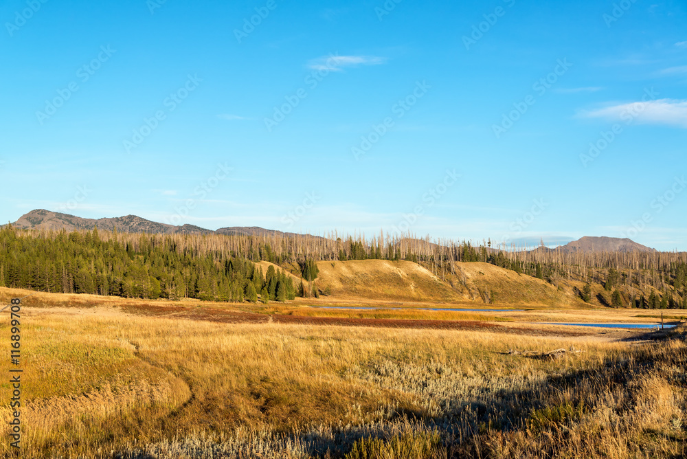 Pelican Valley Landscape at Yellowstone