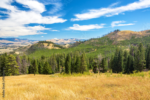Landscape in Yellowstone National Park