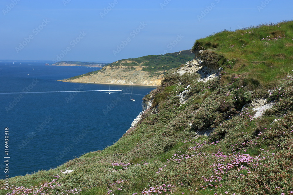 Chalk cliffs overlooking Alum Bay Chalk cliffs overlooking Alum Bay
