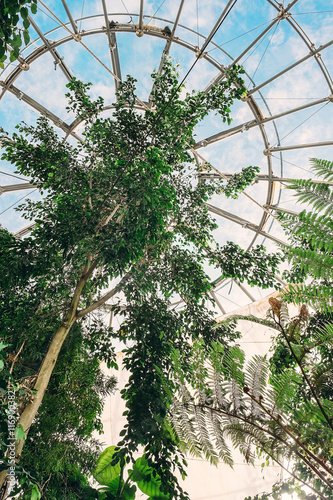фотографія Tropical flora in giant glass biosphere