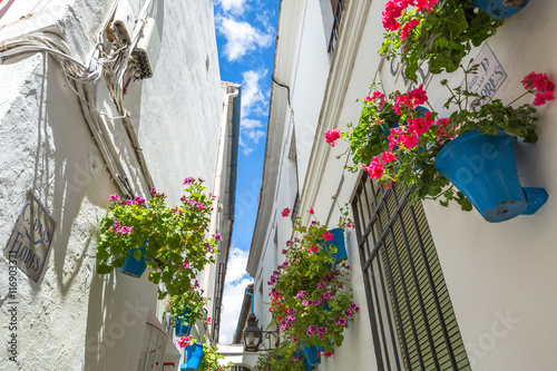 Calleja de las Flores in Barrio de la Juderia  one of the most popular and tourist streets of Cordoba  Andalusia  Spain.