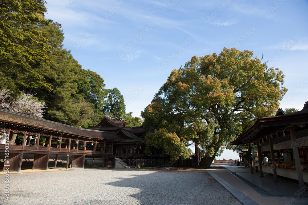 金比羅参りの参道