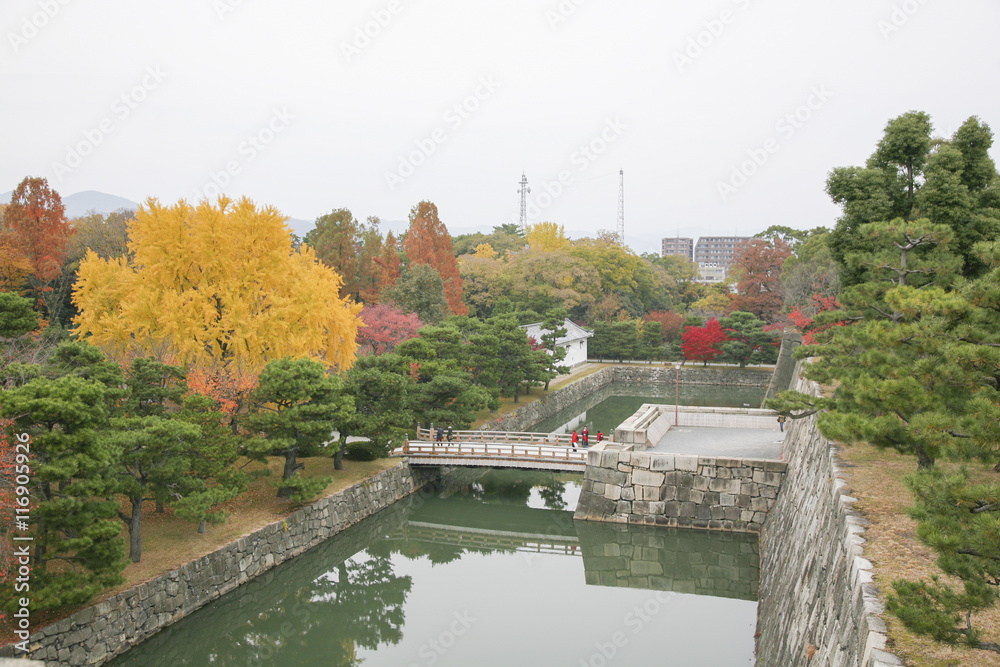 Fototapeta premium Autumn in Japan