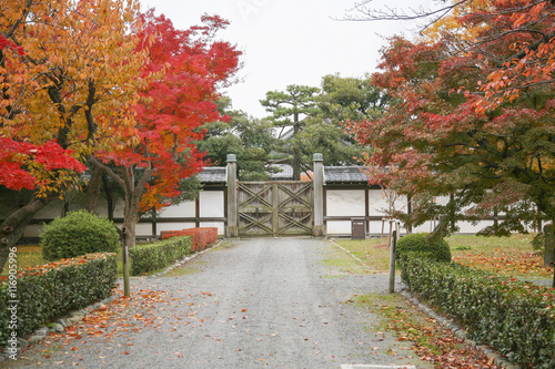 Autumn in Japan